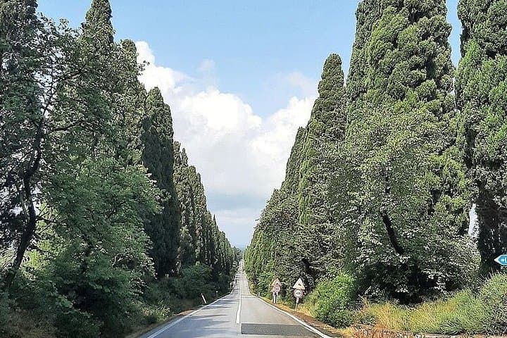 Florence Private Day Trip Bolgheri Wine Experience e Volterra — photo 1 of 23