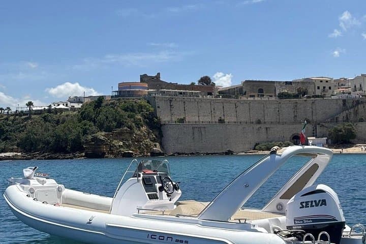 Rental of 8.60mt inflatable boat with nautical license — photo 1 of 8