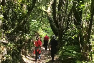 Nature Walk and Cheese Workshop in Barbagia