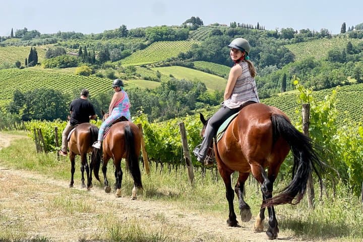 Horseback Ride, visit S.Gimignano, Lunch wine Tasting &much more — photo 1 of 35