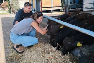 Paestum Traditions, Buffaloes, Ceramics, Temples
