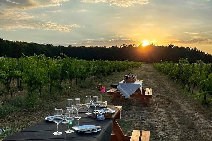 Tuscany Culinary Journey Markets Vineyards and Tastings — photo 1 of 11