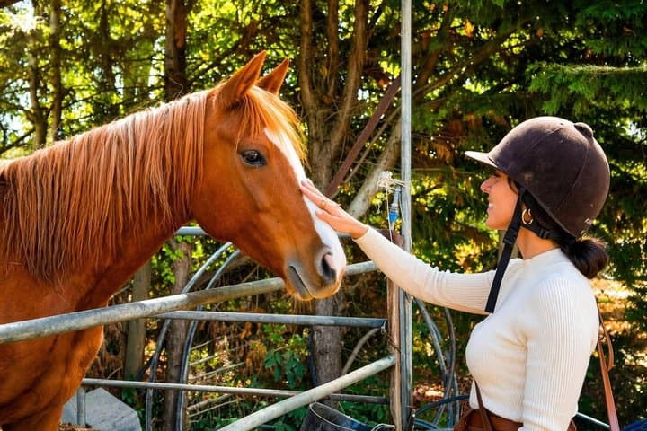 Tuscan Chianti Hills Horseback Riding Tour — photo 1 of 5