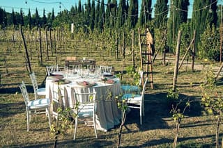 Sunset Summer Dinner Among the Vines Small Group from Siena