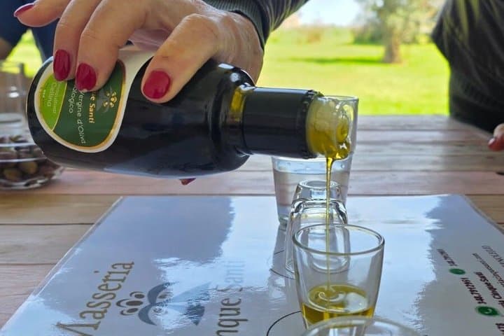 Lecce : Half day E-Bike tour, Artisan workshop & Olive Oil Taste — photo 1 of 18