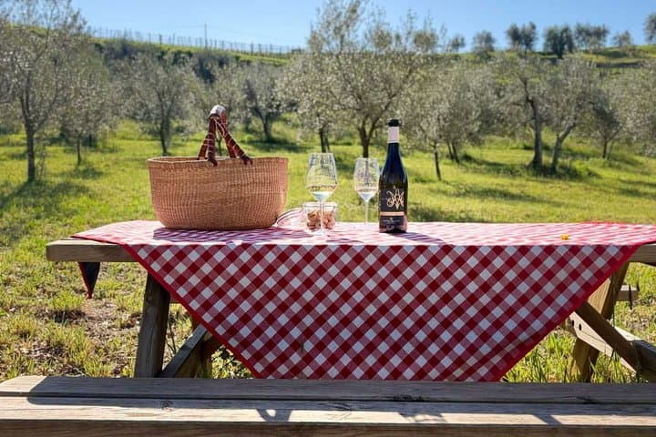 Vineyard Picnic at a Family Winery Near Orvieto — photo 1 of 10