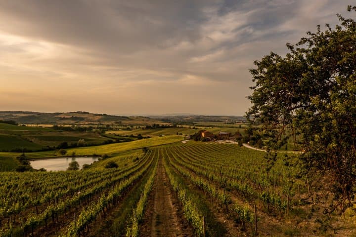 From Cortona Brunello di Montalcino Wine Tour with Lunch — photo 1 of 6