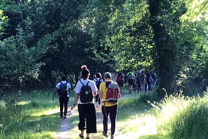 Guided Nature Walk in San Rossore Natural Park — photo 1 of 7