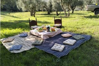 Picnic in Century’s Olives Grove Near Matera