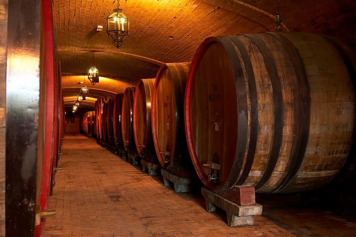 Montepulciano: Cellar Tour, Wine Tasting & Lunch — photo 1 of 9