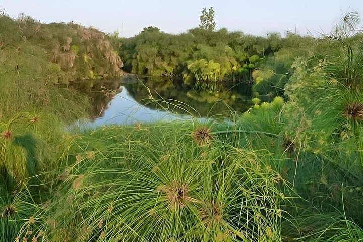 On the Path of Papyrus from Ortygia to the Ciane River in Tuk Tuk — photo 1 of 8