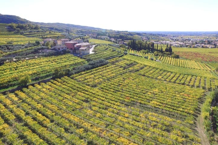 Amarone Della Valpolicella Wine Experience - Meet the Vogadori Family — photo 1 of 19