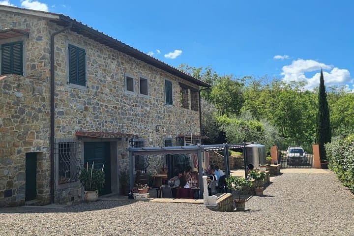 Tasting in the Farm of Wines Oil and Local Products — photo 1 of 22