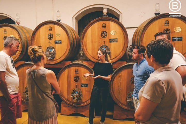 Amarone Wine Tasting Tour from Verona with Private Transportation — photo 1 of 27