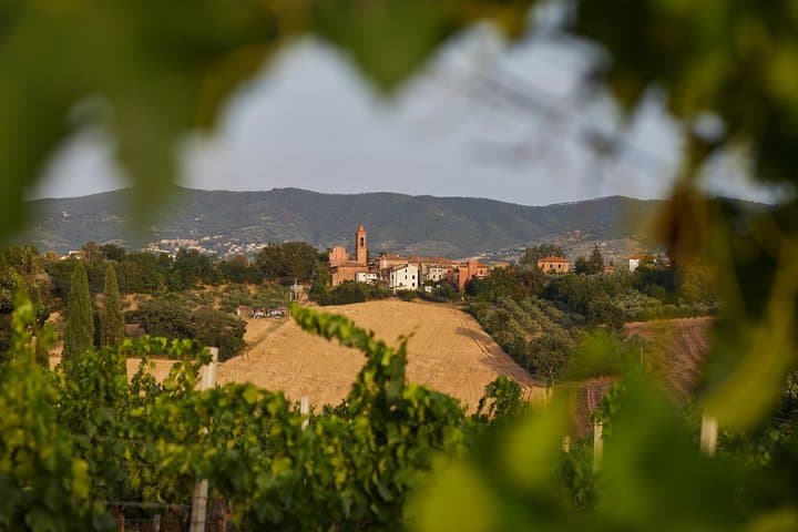 Umbria like a local: Private Wine Tasting & Dining Experience — photo 1 of 22