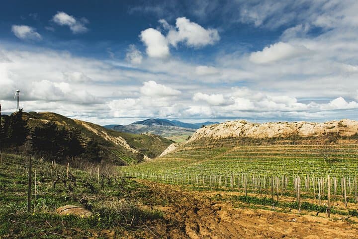 Camporeale Sunset Aperitivo Wine Tasting — photo 1 of 9