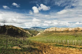 Camporeale Sunset Aperitivo Wine Tasting