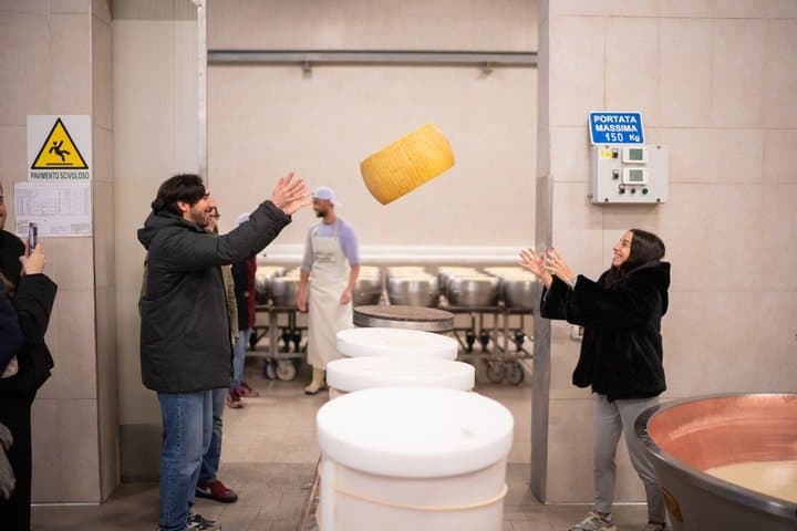Bologna Food Valley Small Group Factory Tasting and Winery Lunch — photo 1 of 17