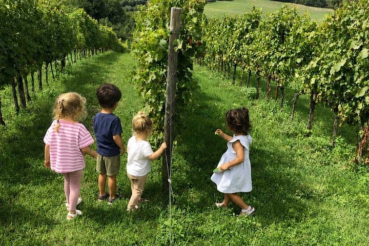 Kids Vineyard Adventure at a Family Winery near Orvieto — photo 1 of 10