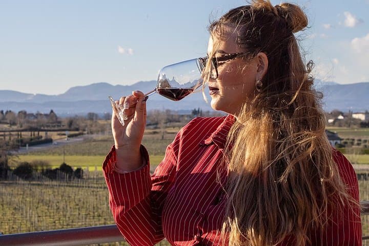 Tasting of 6 wines with vineyard and cellar tour in Lazise — photo 1 of 18