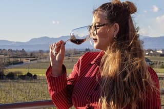 Tasting of 6 wines with vineyard and cellar tour in Lazise