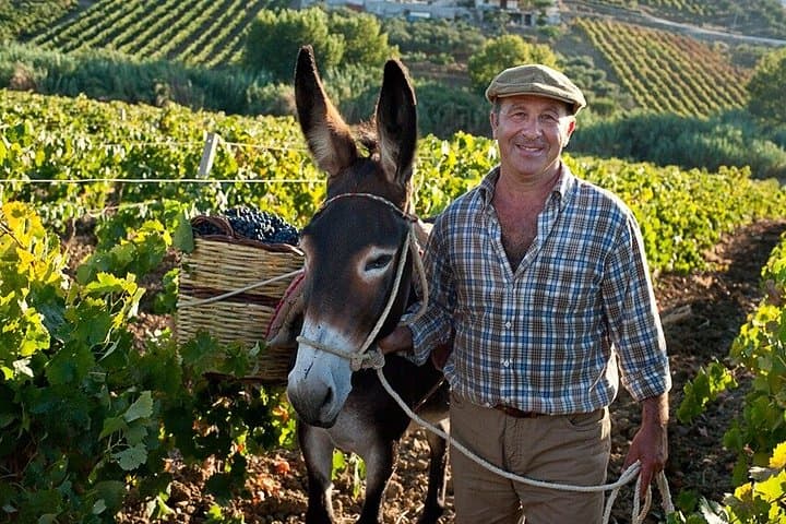 Palermo Authentic Private Wine Experience with Winemaker — photo 1 of 30