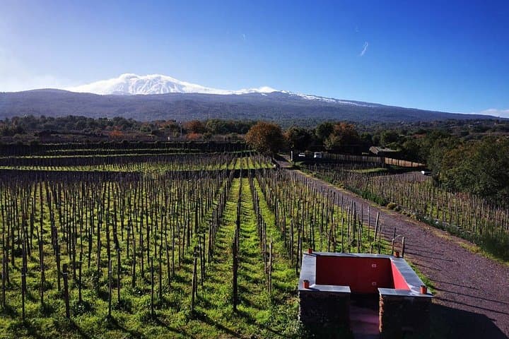 From Taormina Etna tour and stop at ancient Palmento — photo 1 of 6