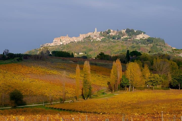 Private tour Wine and cheese a perfect combinations val 'Orcia — photo 1 of 16