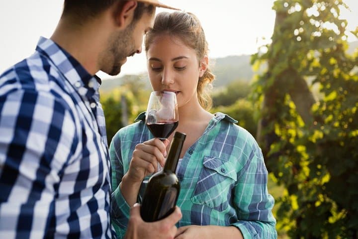 Etna guided winery tour with wine tasting — photo 1 of 7