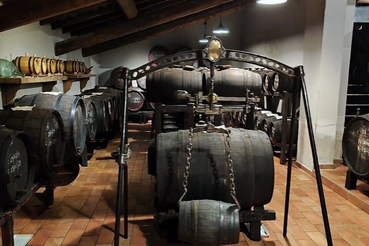 Balsamic Vinegar Cellar Guided tour and tasting in Modena — photo 1 of 13