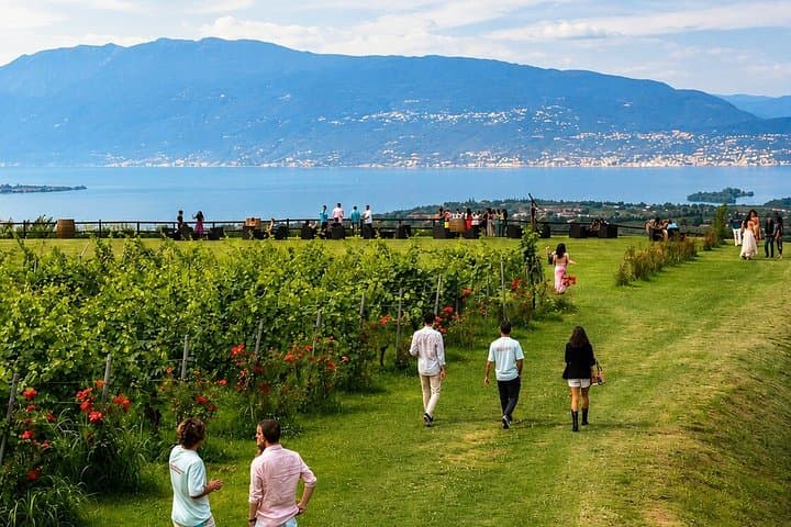 Wine tour and tasting of Valtenesi Wines in Salò — photo 1 of 14