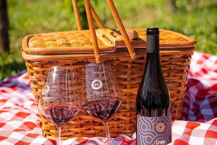 Picnic Among the Vines in Pompeii — photo 1 of 6
