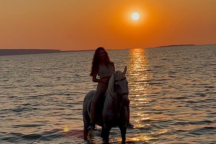 Where is the horse meets the lagoon — photo 1 of 17