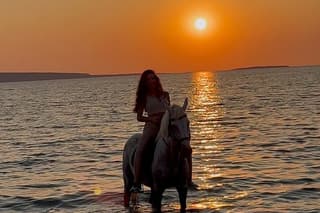 Where is the horse meets the lagoon