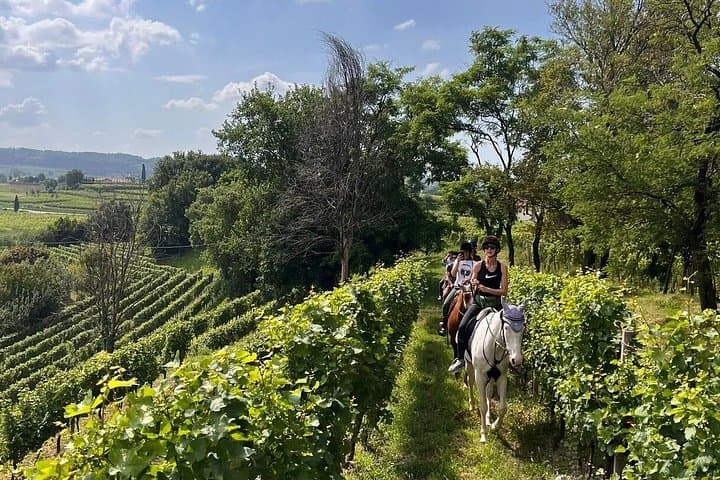 Horseback Ride Through the Vineyards of Franciacorta — photo 1 of 13