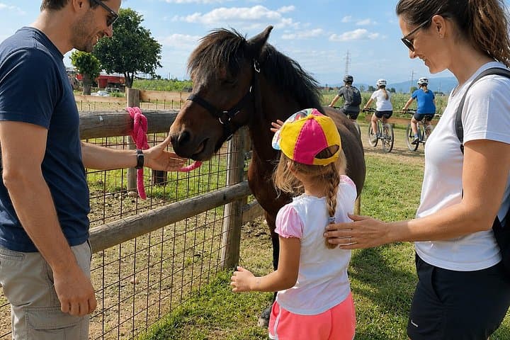 Farm Visit with Animal Encounters & Local Tasting near Lake Garda — photo 1 of 13