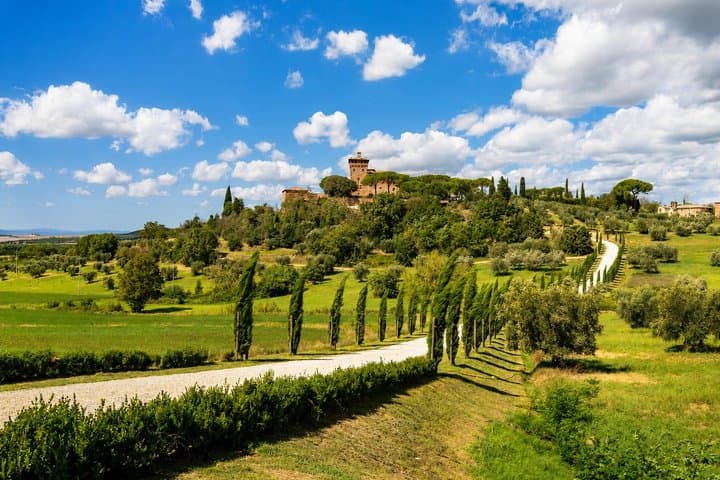 From Florence: Val d'Orcia, Montepulciano & Montalcino — photo 1 of 24