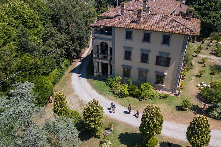 Truffle Hunt & Tasting – Tuscany's Truffle Capital — photo 1 of 35