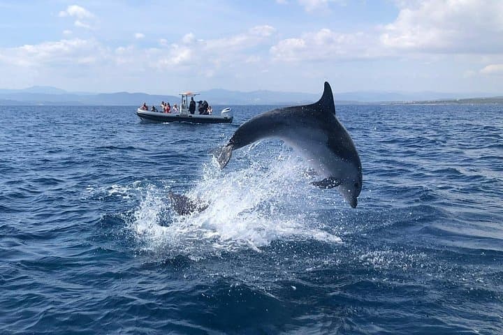 I bring guided snorkeling and dolphin watching tour — photo 1 of 4