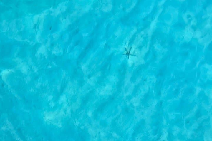 Sailing Tour in Cagliari Explore the Gulf on a Sailboat — photo 1 of 6