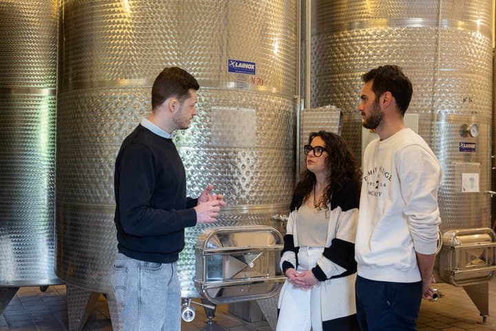 Discover Langhe wines with private tour and expert sommelier — photo 1 of 10