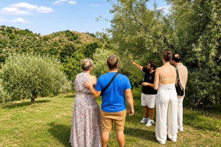 Lake Garda Olive Oil Tour & Tasting with Panoramic Views — photo 1 of 20