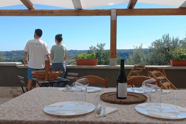 Discover Abruzzo: Winery Tour and Wine Tasting with Meal — photo 1 of 17