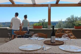 Discover Abruzzo: Winery Tour and Wine Tasting with Meal