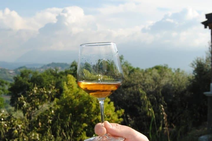 Winery Tour and Tasting in Abruzzo — photo 1 of 18