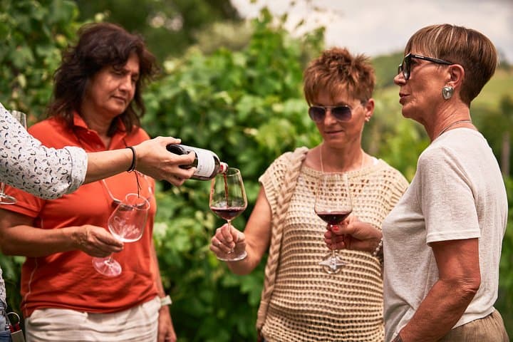 Private Chianti wine tour — photo 1 of 15