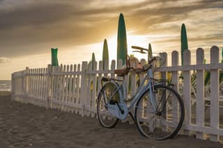 One Day Tour from Florence to the Versilian Coast