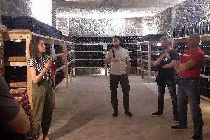 Parma Winery Tour, Wine Tasting & Local Delicacies with Transfer — photo 1 of 22