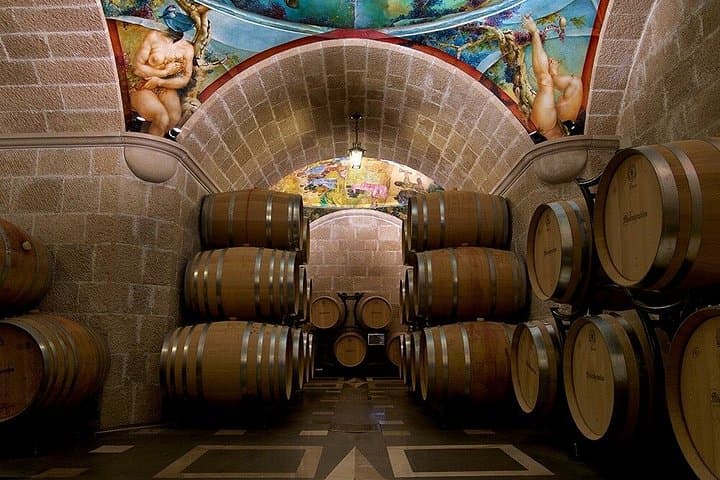 Radici Wine Tasting Experience from Salerno with Lunch — photo 1 of 4