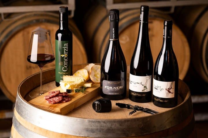 Valle di Cembra Tasting Three Wines Cold cuts and Cheeses — photo 1 of 7